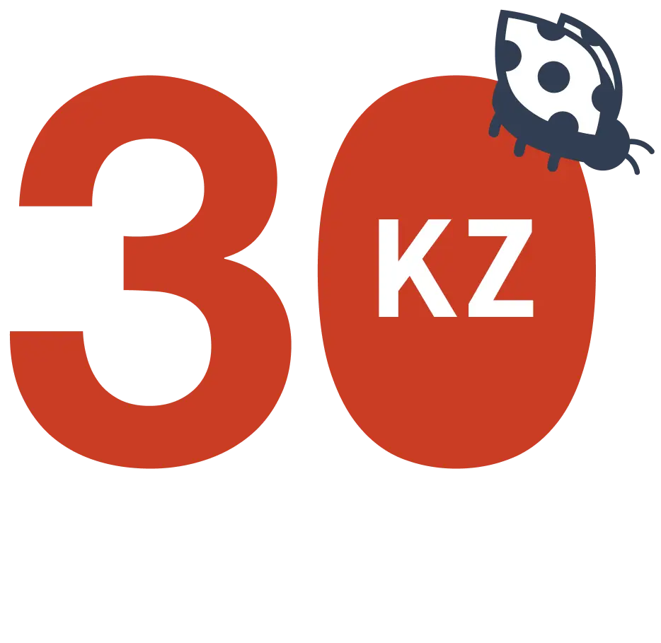 KZ 30th annivesary